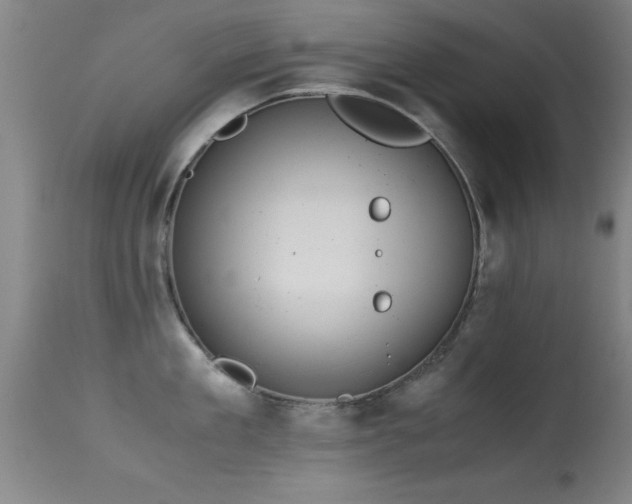 X0000114660909200910201528