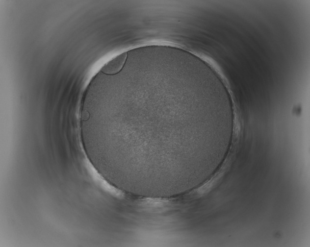 X0000114660910200910201528