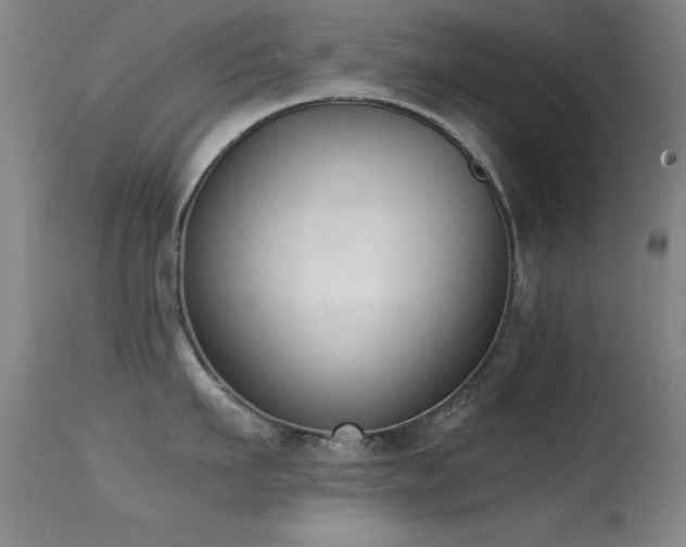 X0000114660911200910201528