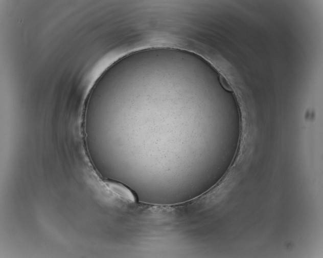 X0000114660912200910201528