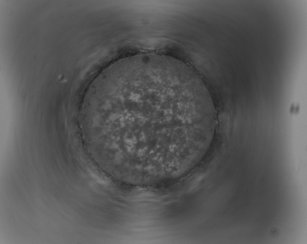 X0000114660913200910201527