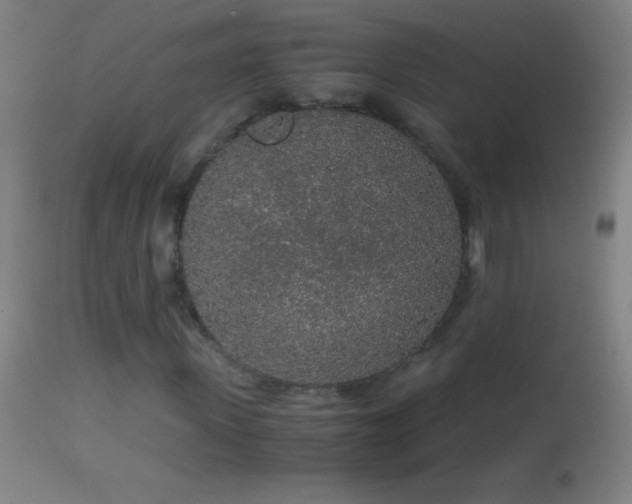 X0000114660915200910201527