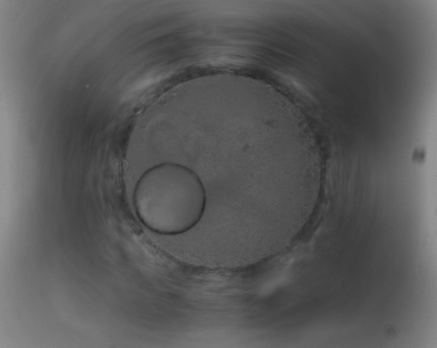 X0000114660917200910201527