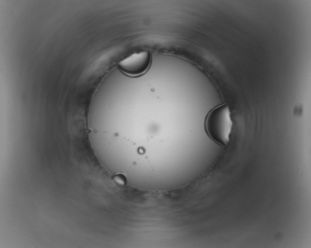 X0000114660918200910201527