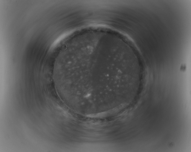 X0000114660919200910201527