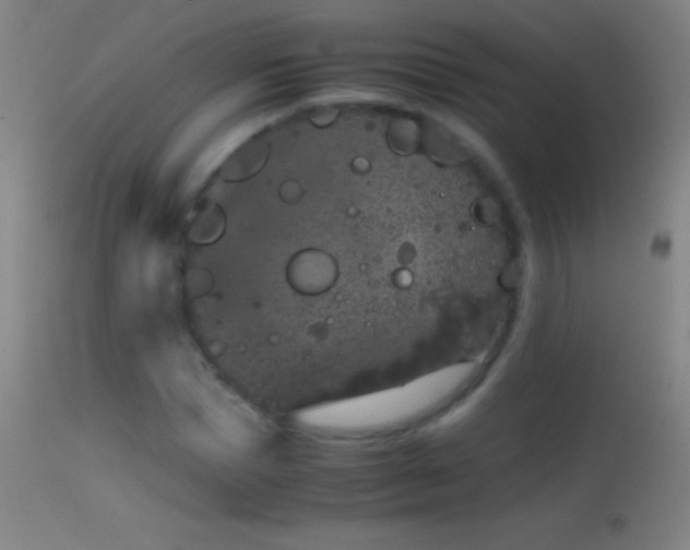 X0000114660921200910201527