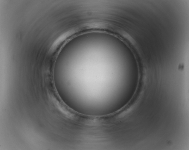 X0000114660922200910201527