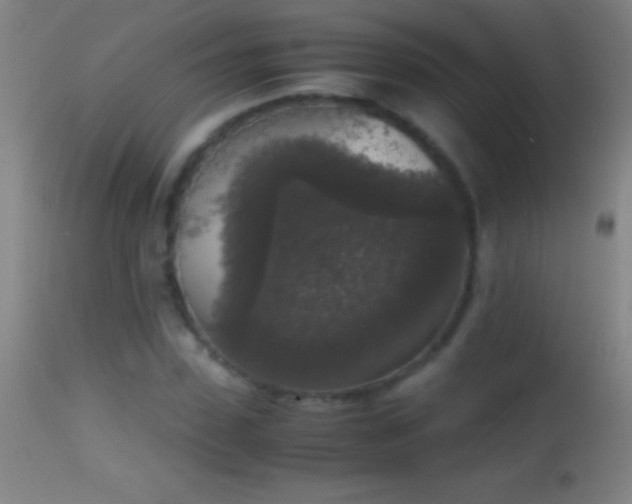 X0000114660923200910201527