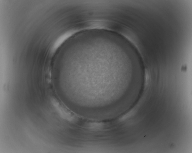 X0000114660925200910201527