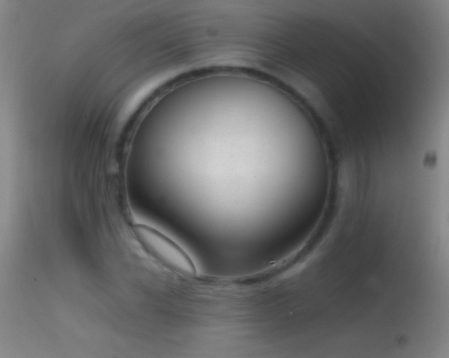 X0000114660926200910201527