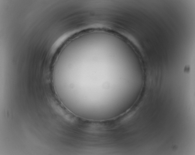 X0000114660927200910201527