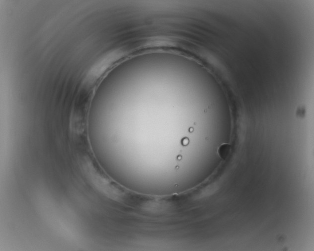 X0000114660929200910201527