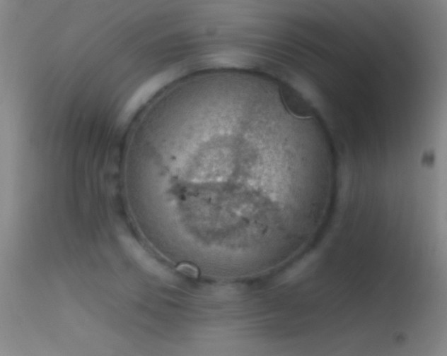 X0000114660930200910201527