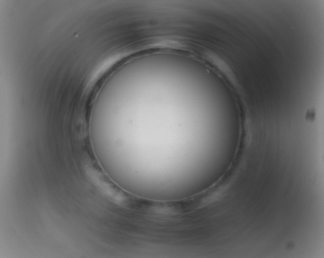 X0000114660931200910201527