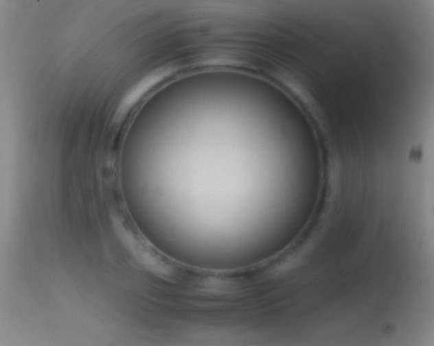 X0000114660933200910201527