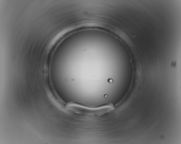 X0000114660934200910201527