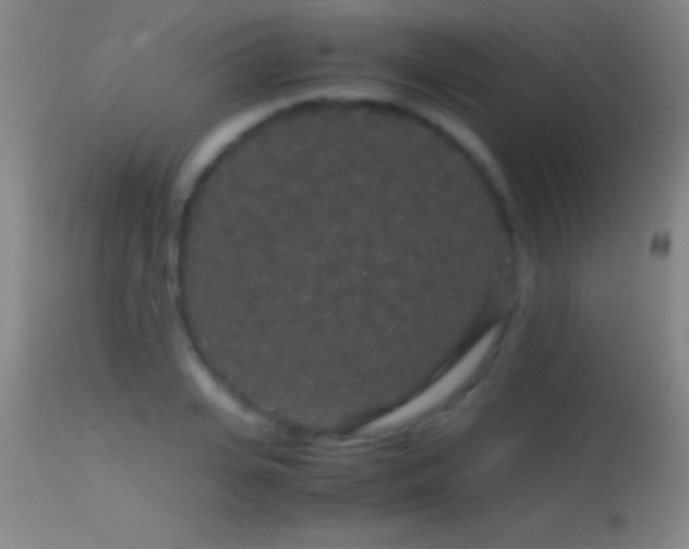 X0000114660935200910201527