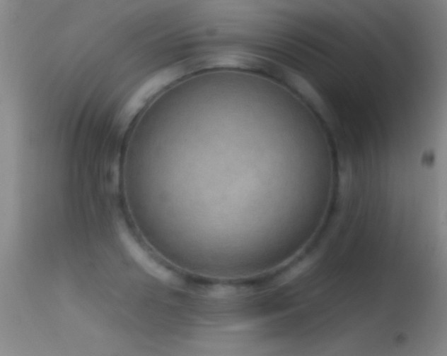 X0000114660938200910201527