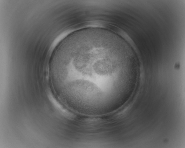 X0000114660939200910201527