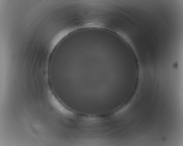 X0000114660941200910201527