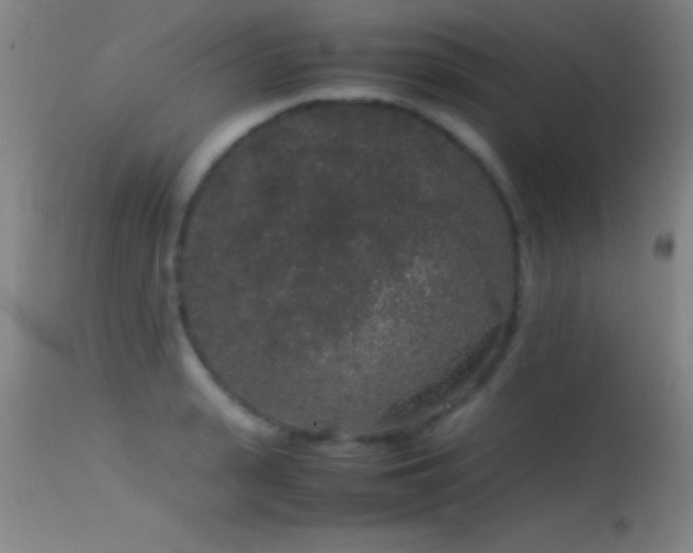 X0000114660943200910201527