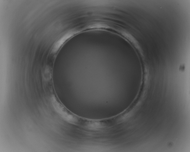 X0000114660945200910201527