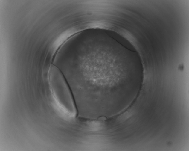 X0000114660946200910201527