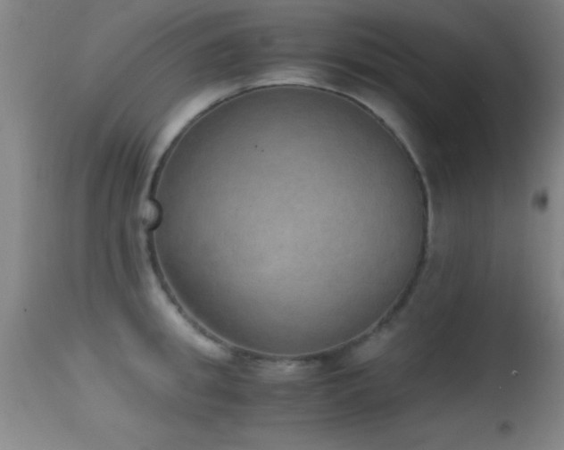 X0000114660949200910201528