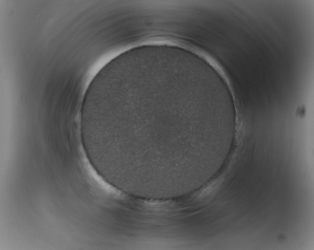 X0000114660951200910201528