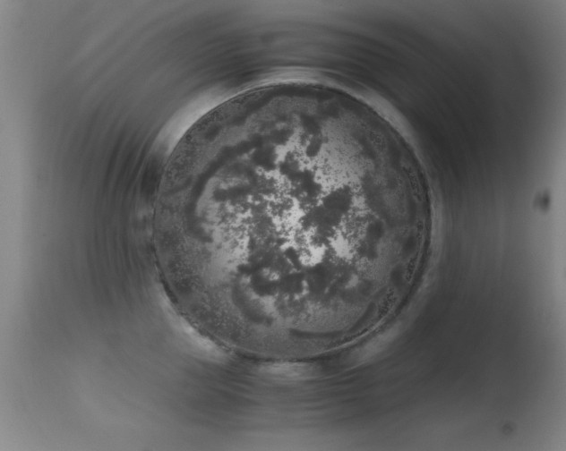 X0000114660953200910201528