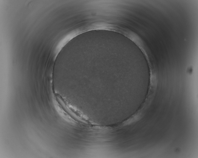 X0000114660954200910201528