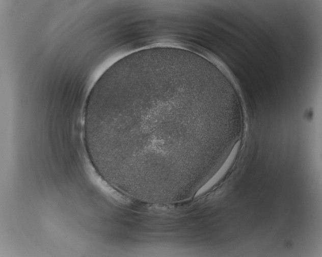 X0000114660955200910201528