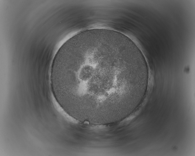 X0000114660957200910201528