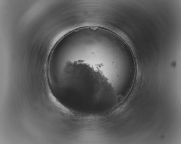 X0000114660958200910201528