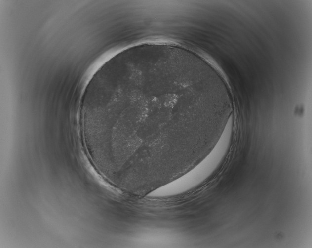 X0000114660959200910201528