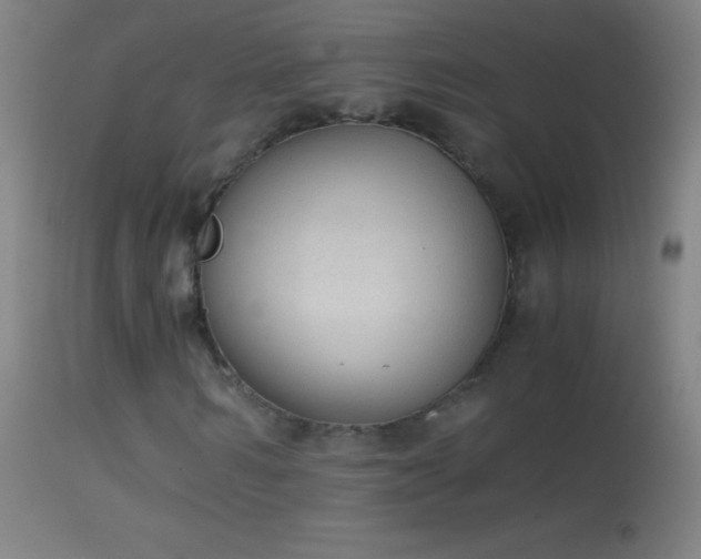 X0000114660962200910201527