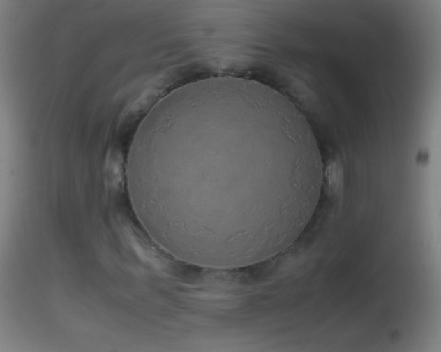 X0000114660963200910201527