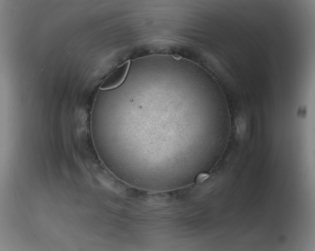 X0000114660964200910201527