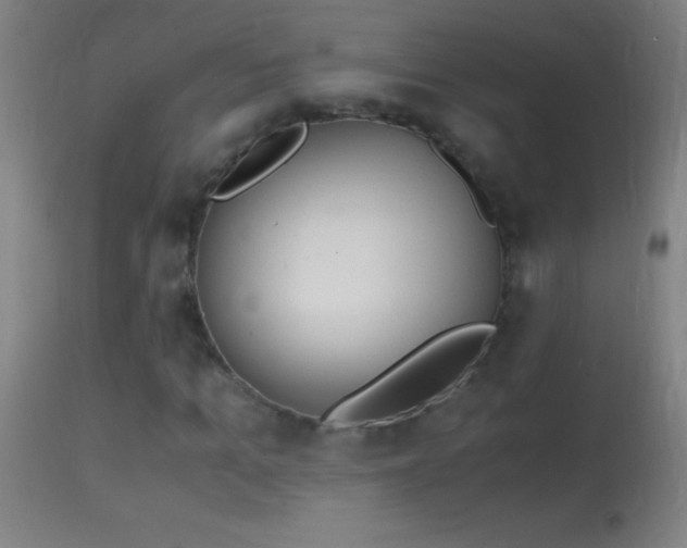 X0000114660965200910201527