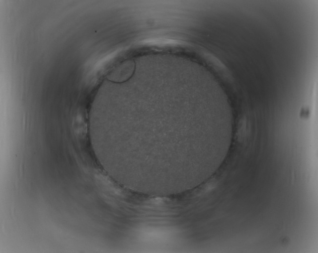 X0000114660966200910201527