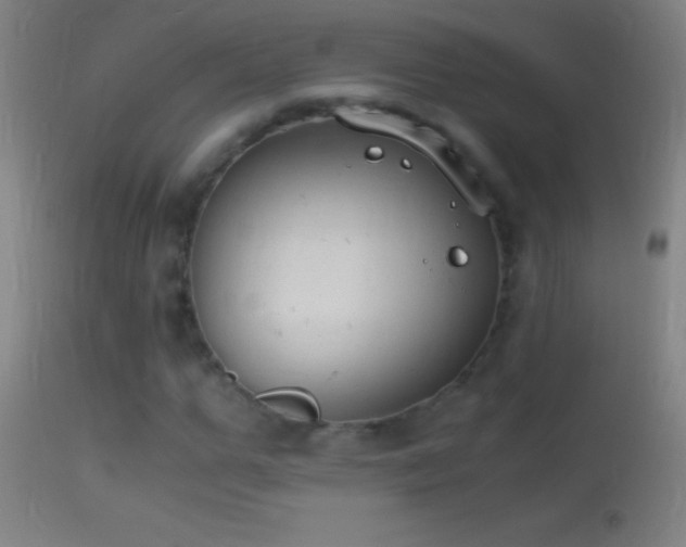 X0000114660967200910201527