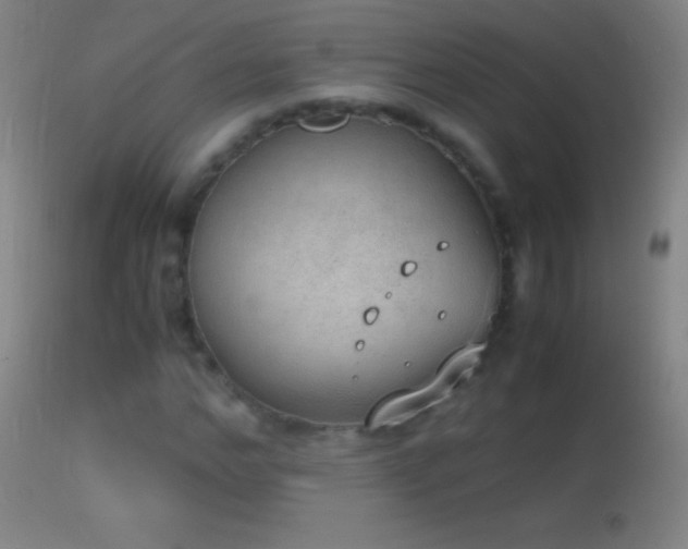 X0000114660968200910201527