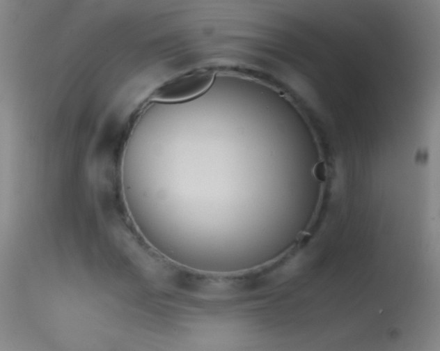 X0000114660969200910201527