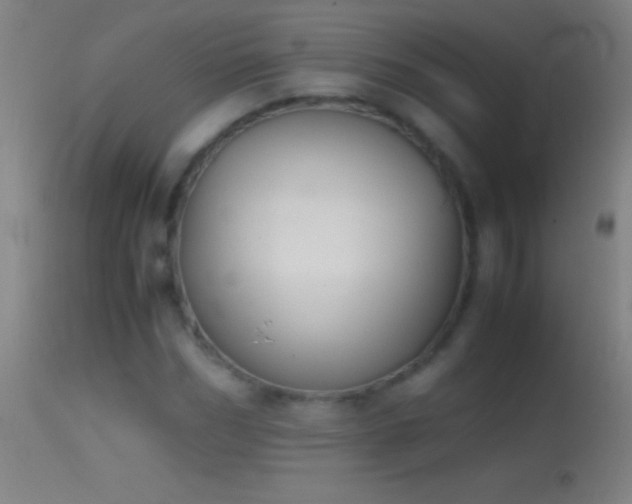 X0000114660970200910201527