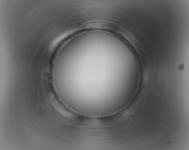 X0000114660971200910201527