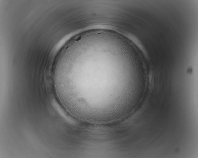 X0000114660972200910201527