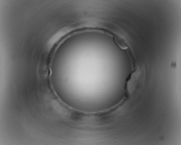 X0000114660973200910201527