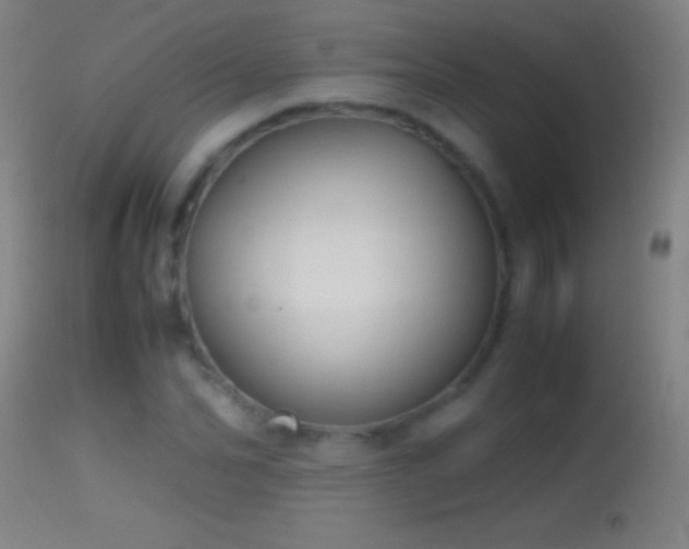 X0000114660974200910201527