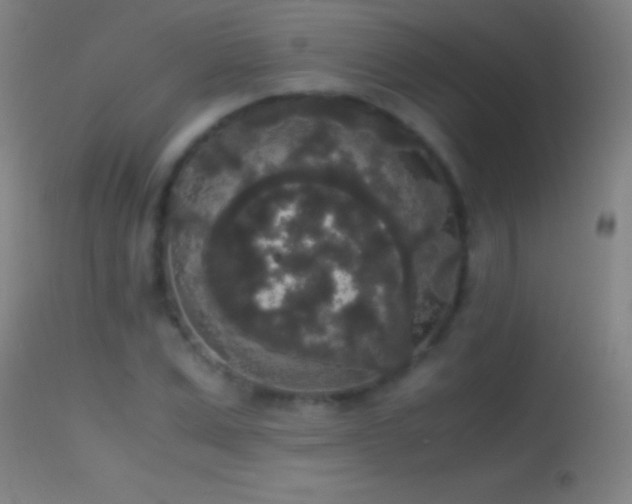 X0000114660975200910201527