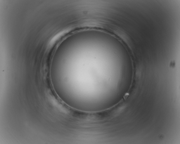 X0000114660979200910201527